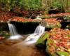 <b>Название: </b>7713063_1194466102_Wesser_Creek_in_Autumn_Nantahala_Natio..., <b>Добавил:<b> Gevor<br>Размеры: 700x525, 188.4 Кб